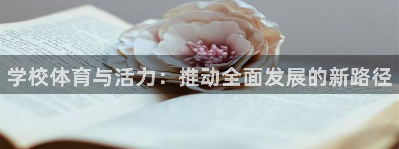 球皇：学校体育与活力：推动全面发展的新路径