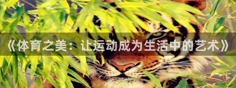 球皇直播8：《体育之美：让运动成为生活中的艺术》