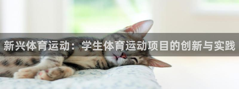 球皇社nba直播App下载：新兴体育运动：学生体育运动项目的创新与实践