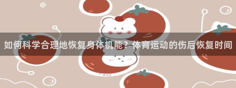 球皇看球app