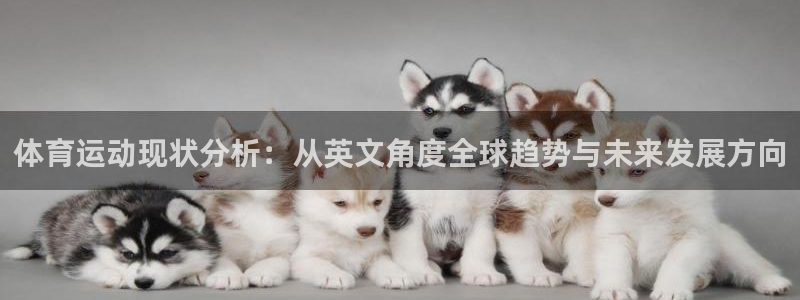 球皇直播间