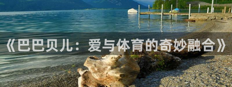 球皇看球