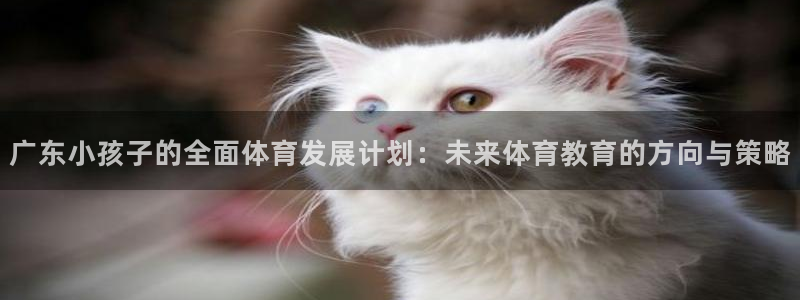 球皇直播NBA