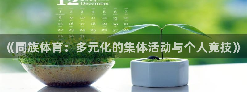 球皇直播网比赛录像：《同族体育：多元化的集体活动与个人竞技》