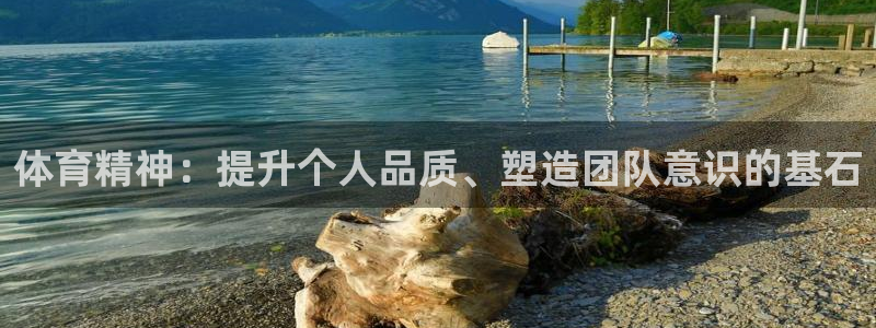 9球皇后：体育精神：提升个人品质、塑造团队意识的基石